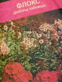 Флокс. Робоча таблиця